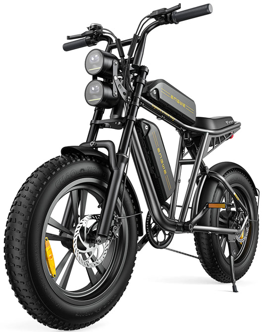 Engwe M20 Electric Bike for Adults - 750W Motor 28MPH ,48V 26AH Dual Battery 20*4.0" Fat Tire All Terrain Ebike Offroad Adventure Full Suspension, Black